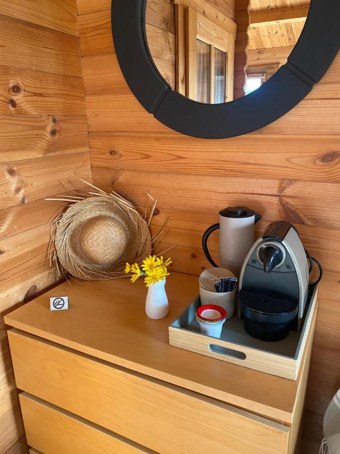 Maison Saint Paul Bnb La Colle-sur-Loup Dış mekan fotoğraf