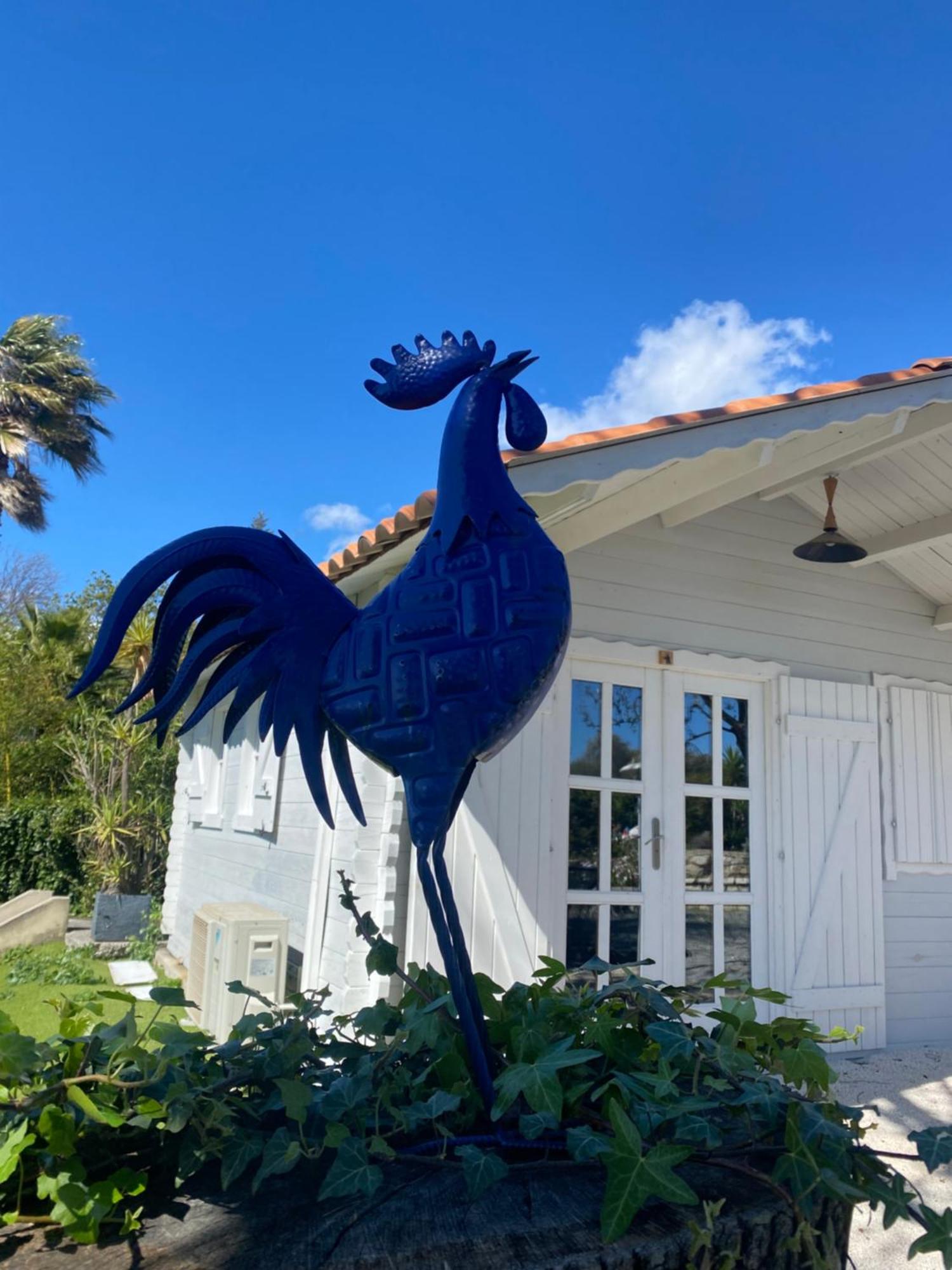 Maison Saint Paul Bnb La Colle-sur-Loup Dış mekan fotoğraf