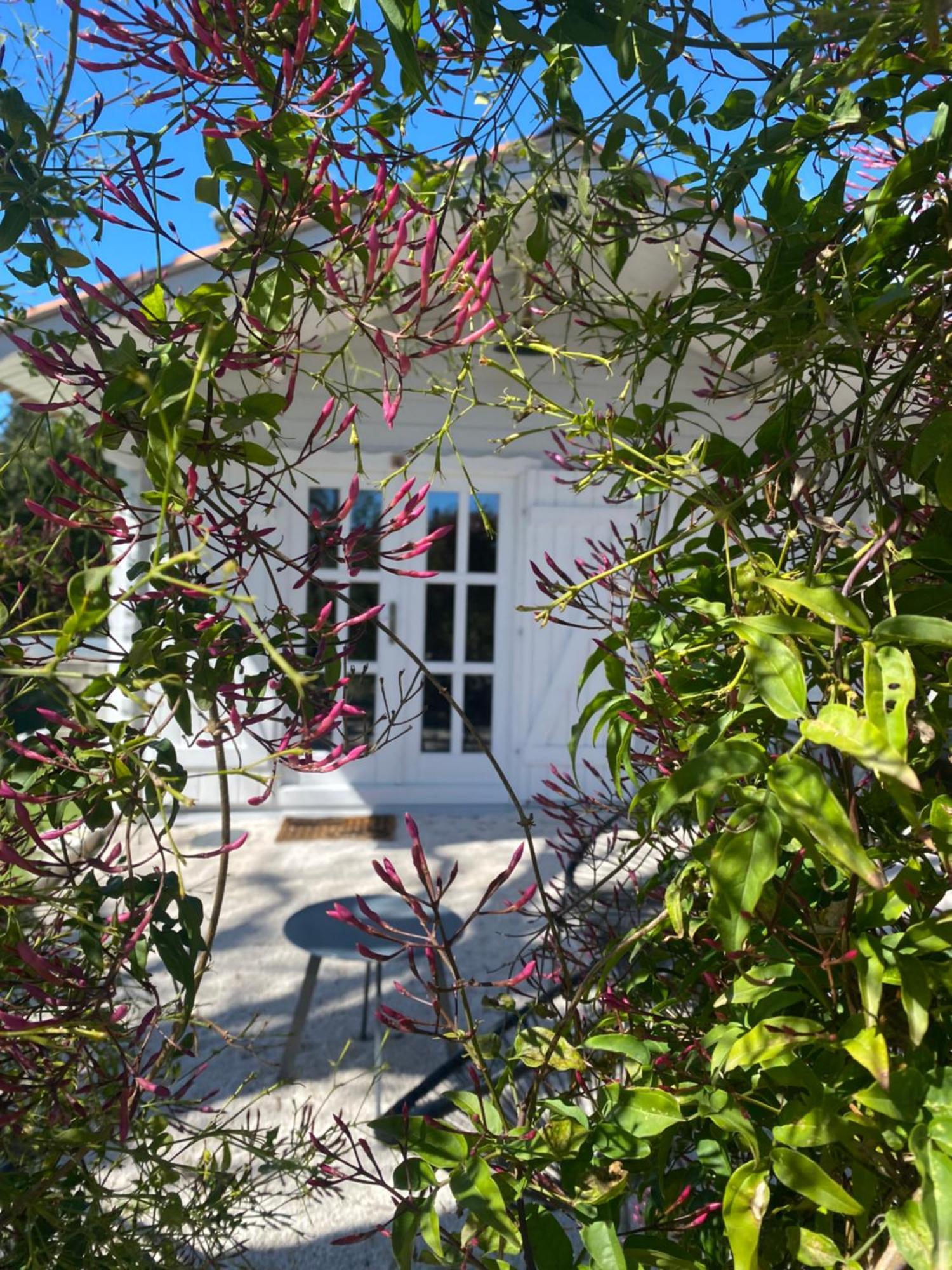 Maison Saint Paul Bnb La Colle-sur-Loup Dış mekan fotoğraf